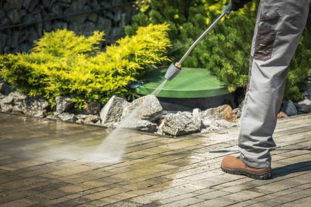 Best Dumpster Area Cleaning  in Dyersburg, TN